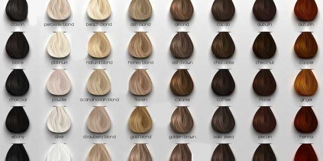 موهای افراد با توجه به نوع رنگ و سایه های مختلف می تواند رنگ های متفاوتی داشته باشد که مخصوص هر فرد است. بنابراین در کاشت مو بهترین روش استفاده از موهای خود فرد است.